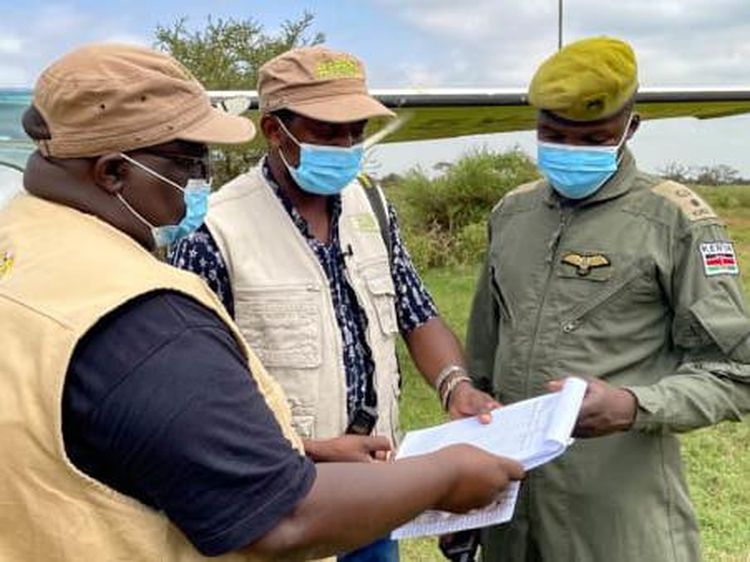 Libur Pandemi, Kenya Sensus Satwa Liar Gede-gedean