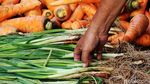 Asyik... Belanja Sayur di Sini Bayarnya Sukarela