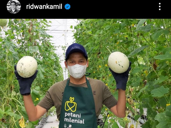 Postingan Ridwan Kamil soal petani milenial