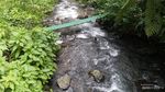 Refreshing ke Situ Gunung Suspension Bridge