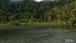 Refreshing ke Situ Gunung Suspension Bridge