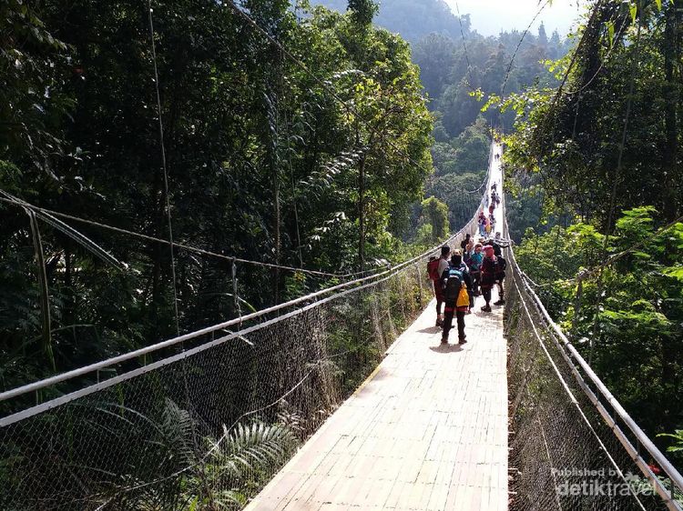 Refreshing ke Situ Gunung Suspension Bridge