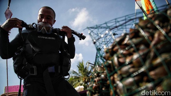 Restorasi Kerang Hijau untuk Jernihkan Laut Jakarta