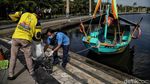 Restorasi Kerang Hijau untuk Jernihkan Laut Jakarta