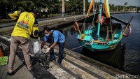 Tetapi di sisi lain, kerang hijau ini memikiki fungsi yang penting di lautan yaitu dapat menyerap kotoran di laut.