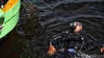 Restorasi Kerang Hijau untuk Jernihkan Laut Jakarta