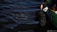 Berkolaborasi dengan Manajemen Taman Impian Jaya Ancol, BUSKIPM KKP menebar 500 kilogram kulit kerang hijau di perairan Ancol sepanjang 3,8 kilometer, untuk meningkatkan kualitas air di perairan kawasan wisata di Jakarta Utara tersebut.