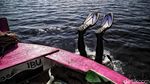 Restorasi Kerang Hijau untuk Jernihkan Laut Jakarta