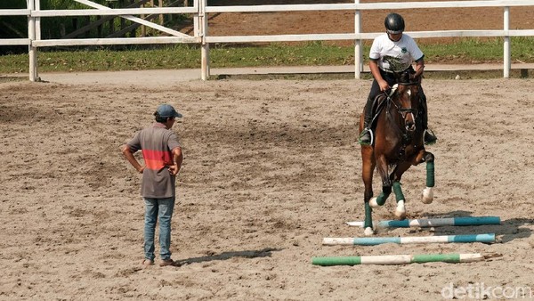 Terdapat berbagai tingkatan latihan berkuda di Pamulang Equestrian Centre. Murid di Pamulang Equestrian Centre sudah menyumbang prestasi di berbagai ajang berkuda. Terdapat berbagai tingkatan latihan berkuda di Pamulang Equestrian Centre. Murid di Pamulang Equestrian Centre sudah menyumbang prestasi di berbagai ajang berkuda.