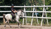 Anak-anak juga bisa berkeliling dengan kuda.