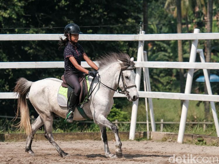 Bisa untuk Isi Liburan, Begini Lho Manfaat Berkuda