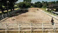 Pamulang Equestrian Centre sendiri adalah sekolah berkuda tertua di Indonesia yang didirikan Oetari Soehardjono tahun 1982.