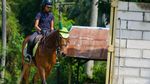 Bisa untuk Isi Liburan, Begini Lho Manfaat Berkuda