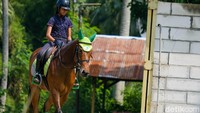 Selain menyenangkan, berkuda juga dapat meningkatkan kebugaran fisik.
