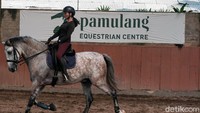 Salah satu tempat yang direkomendasikan untuk olahraga berkuda adalah Pamulang Equestrian Centre.