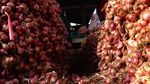 Harga Bawang Merah Turun di Tingkat Petani