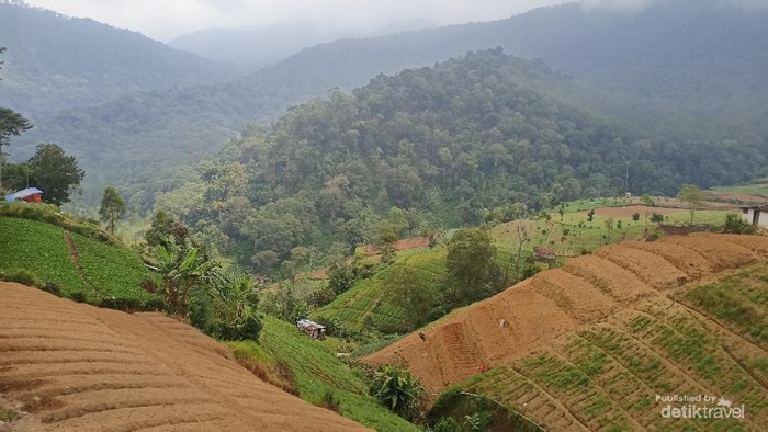 Perbukitan Cantik Terlihat di Pinggir Jalan Raya Cangar