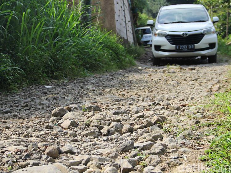Duh, Akses ke Pusat Konservasi Elang Jawa Cimungkad Rusak dan Sempit
