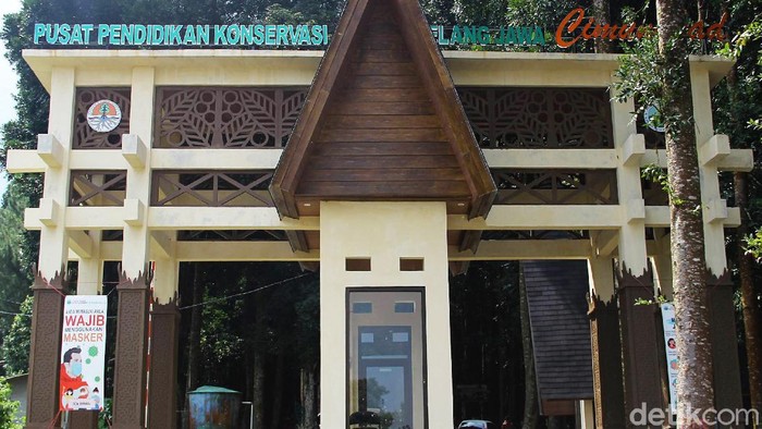 Duh, Akses ke Pusat Konservasi Elang Jawa Cimungkad Rusak dan Sempit Taman Nasional Gunung Gede Pangrango (TNGGP) memiliki pusat pendidikan konservasi Elang Jawa di daerah Cimungkad, Sukabumi.
