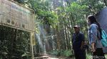 Kala Pemuda Ciparay Ikut Lestarikan Hutan dan Elang Jawa