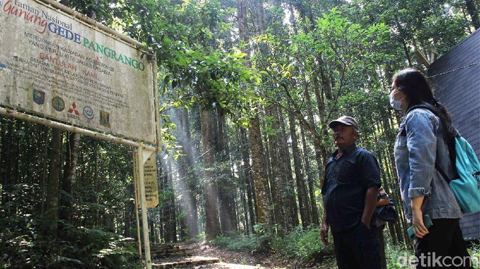Forum Persatuan Pemuda Ciparay Sukabumi yang turut serta dalam mengelola alih fungsi lahan Taman Nasional Gunung Gede Pangrango (TNGGP) wilayah Cimungkad.