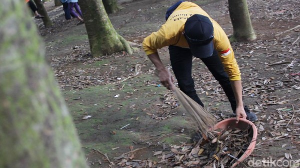 Wisata Hutan Damar menjadi kawasan yang kini tengah dikembangkan pihak taman nasional bersama warga sekitar. Wisata Hutan Damar menjadi kawasan yang kini tengah dikembangkan pihak taman nasional bersama warga sekitar.