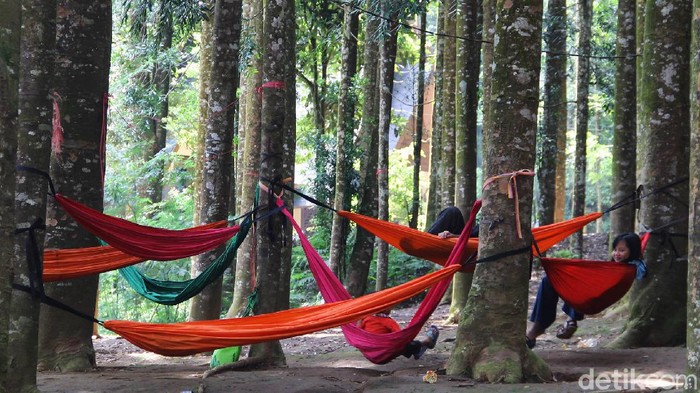 Forum Persatuan Pemuda Ciparay Sukabumi yang turut serta dalam mengelola alih fungsi lahan Taman Nasional Gunung Gede Pangrango (TNGGP) wilayah Cimungkad.