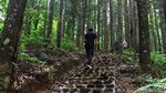 Kala Pemuda Ciparay Ikut Lestarikan Hutan dan Elang Jawa