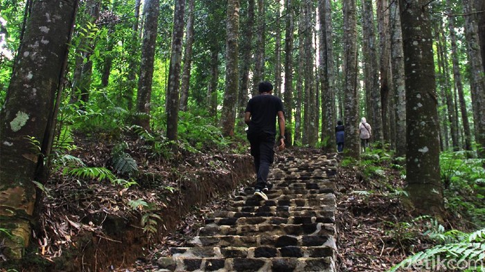 Forum Persatuan Pemuda Ciparay Sukabumi yang turut serta dalam mengelola alih fungsi lahan Taman Nasional Gunung Gede Pangrango (TNGGP) wilayah Cimungkad.
