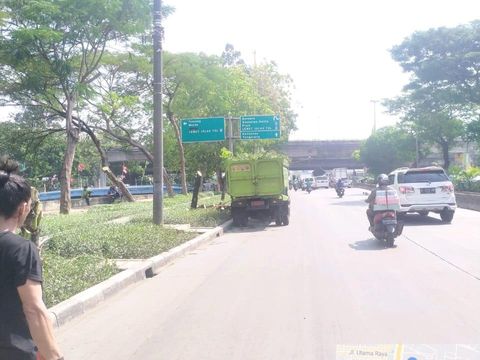 Kondisi usai pemangkasan pohon di depan penunjuk arah di Jalan Daan Mogot, Jakarta Barat.
