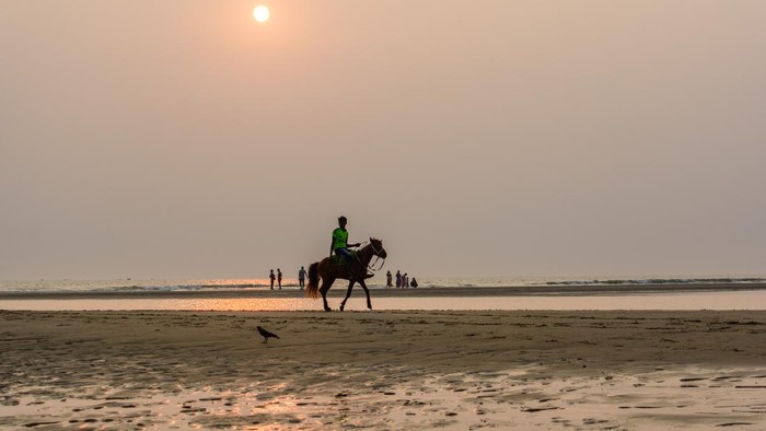 Kuda-kuda di Pantai COxs Bazar, Bangladesh
