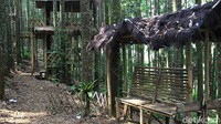 Bukan hanya wisata, di lokasi ini juga pengunjung bisa sambil belajar mengenal Elang Jawa, satwa endemik Pulau Jawa.   