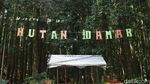 Lepas Penat Kala Pandemi di Hutan Damar Sukabumi