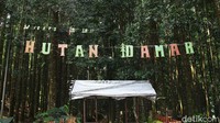 Hutan Damar namanya, lokasinya berada di kawasan Pusat Pendidikan Elang Jawa Cimungkad Sukabumi.  