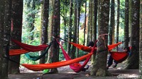 Semenjak merebaknya virus COVID-19 atau Corona wisata ke alam bebas menjadi semakin diminati.   