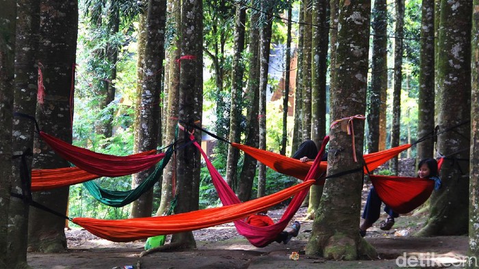 Lepas Penat Kala Pandemi di Hutan Damar Sukabumi