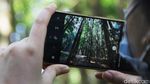 Lepas Penat Kala Pandemi di Hutan Damar Sukabumi