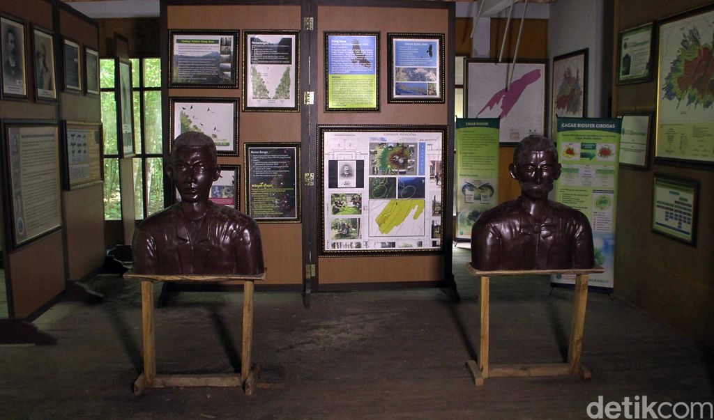 Sosok MEG Bartels berkaitan erat dengan Elang Jawa. Jejak sang ornitolog ini dapat dilihat di museum peninggalannya di Taman Nasional Gunung Gede Pangrango.
