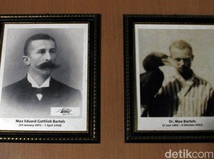 Penemu Elang Jawa Ternyata Orang Jerman, Ini Profilnya