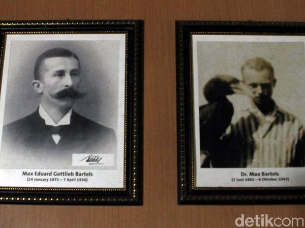 Melacak Jejak Sang Penemu Elang Jawa di Gunung Gede Pangrango