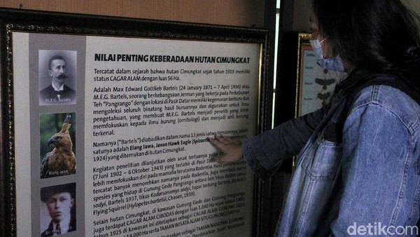 Berkat kegemarannya tersebut, beberapa nama burung, tikus dan tupai berhasil diidentifikasi berdasarkan koleksinya oleh karena itu nama Bartels (2)/Max (3) /Angeline (4) digunakan dalam nama latin satwa tersebut. Untuk menampung koleksinya tersebut MEG Bartels membangun sebuah museum koleksi di Pasir Datar, Sukabumi Taman Nasional Gunung Gede Pangrango. Berkat kegemarannya tersebut, beberapa nama burung, tikus dan tupai berhasil diidentifikasi berdasarkan koleksinya oleh karena itu nama Bartels (2)/Max (3) /Angeline (4) digunakan dalam nama latin satwa tersebut. Untuk menampung koleksinya tersebut MEG Bartels membangun sebuah museum koleksi di Pasir Datar, Sukabumi Taman Nasional Gunung Gede Pangrango.