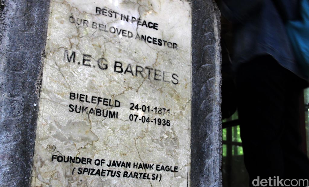Sosok MEG Bartels berkaitan erat dengan Elang Jawa. Jejak sang ornitolog ini dapat dilihat di museum peninggalannya di Taman Nasional Gunung Gede Pangrango.