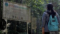 Sejarah pertama kali ditemukannya Elang Jawa oleh MEG Bartels menjadi cikal bakal resort PTN Cimungkad sebagai pusat pendidikan Elang Jawa.