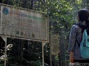 Mengunjungi Pusat Konservasi Elang Jawa di Cimungkad Sukabumi