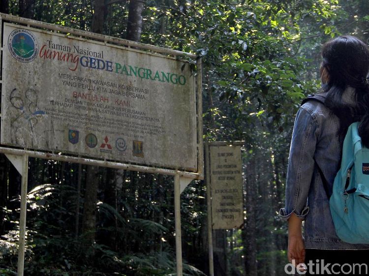 Mengunjungi Pusat Konservasi Elang Jawa di Cimungkad Sukabumi