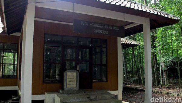 Seperti diketahui, sebagai pusat pendidikan Elang Jawa, resort Cimungkad terbilang lengkap. Terdapat kantor, aula pertemuan, dan juga kandang untuk melakukan observasi. Nantinya di lokasi ini juga akan ada dokter hewan yang berjaga. Seperti diketahui, sebagai pusat pendidikan Elang Jawa, resort Cimungkad terbilang lengkap. Terdapat kantor, aula pertemuan, dan juga kandang untuk melakukan observasi. Nantinya di lokasi ini juga akan ada dokter hewan yang berjaga.