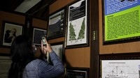 Di museum yang berada di Pusat Konservasi Elang Jawa Cimungkad pengunjung dapat mengenal dan belajar mengenai Elang Jawa serta sang penemu yakni MEG Bartels.