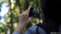 TNGGP merupakan taman nasional yang pertama di Indonesia bahkan di dunia yang mengadopsi metode penanaman ini dalam upaya merestorasi areal kritisnya. Dasar pertimbangannya adalah karena restorasi metode Miyawaki ini telah berhasil dilaksanakan dibeberapa negara seperti Malaysia, Brazil dan Kenya.  