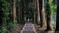 Dalam kawasan Pusat Pendidikan Elang Jawa Cimungkad Sukabumi ini terdapat museum dan juga area wisata hutan damar. Di sini pengunjung dapat belajar mengenal Elang Jawa dan juga menikmati tenangnya alam. Sebagai lokasi wisata, kawasan hutan damar menyuguhkan kenyamanan dan hawa yang segar. Rencananya wisata alam ini juga akan dikembangkan menjadi forest healing. Forest healing atau terapi hutan dinilai mampu untuk menurunkan tingkat stres seseorang, baik fisik maupun mental.  
