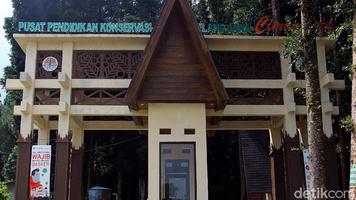 Pusat Konservasi Elang Jawa Cimungkad merupakan salah satu kawasan konservasi yang ada di Sukabumi. Kawasan konservasi itu memiliki museum dan hutan damar.